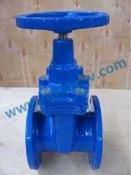 BS cast iron good quality flange gate valve